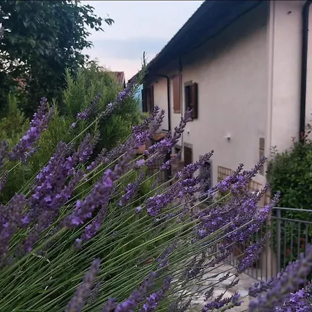 アパート Il Giardino Di Berbech Citta Alta