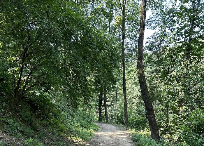 Daire Il Giardino Di Berbech Citta Alta *