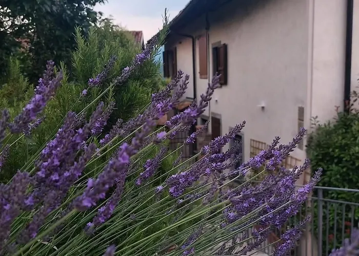 شقة Il Giardino Di Berbech Citta Alta