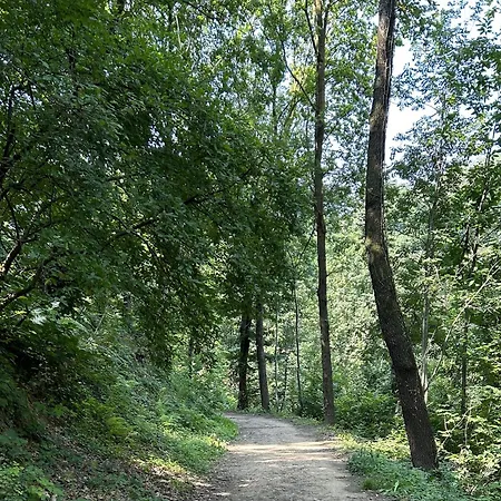 아파트 Il Giardino Di Berbech Citta Alta *